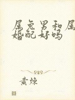 属兔男和属龙女婚配好吗