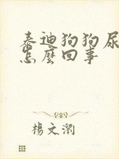 泰迪狗狗尿血是怎么回事