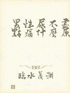 男性尿不尽还有点痛什么原因