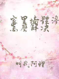 家里墙体渗水的怎么解决