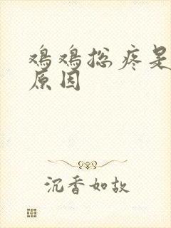 鸡鸡总疼是什么原因