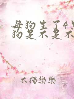 母狗生了4只小狗是不是不好的预兆