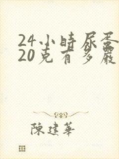 24小时尿蛋白20克有多严重