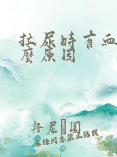 拉尿时有血是什么原因