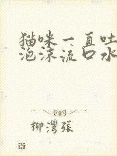 猫咪一直吐白色泡沫流口水