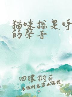 猫咪总是呼噜噜的声音