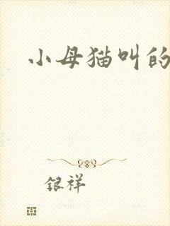 小母猫叫的声音