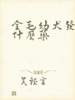 金毛幼犬发烧吃什么药