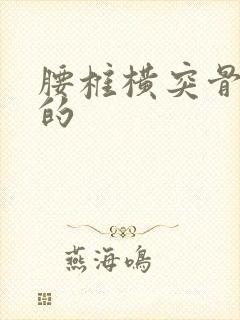 腰椎横突骨骨折的