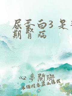 尿蛋白3 是几期肾病