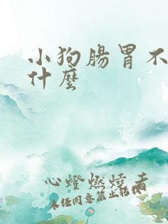 小狗肠胃不好吃什么