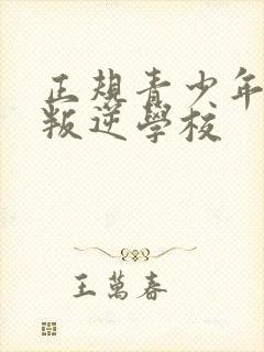 正规青少年管教叛逆学校