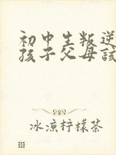 初中生叛逆期的孩子父母该怎么沟通