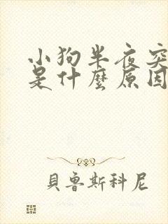 小狗半夜突然叫是什么原因