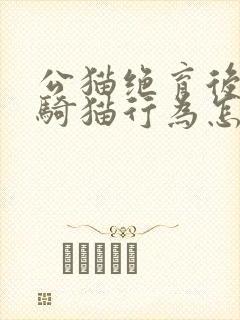 公猫绝育后还有骑猫行为怎么回事