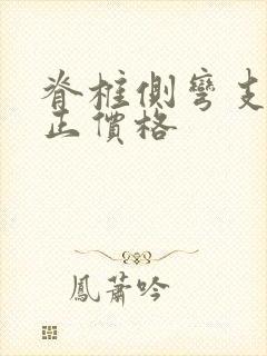 脊椎侧弯支具矫正价格