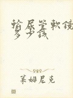 输尿管软镜取石多少钱