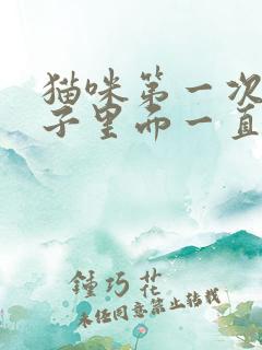 猫咪第一次关笼子里面一直叫怎么办