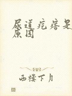 尿道疙瘩是什么原因