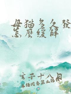 母猫多久发情期怎么缓解