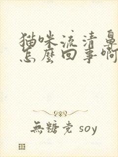 猫咪流清鼻涕是怎么回事啊