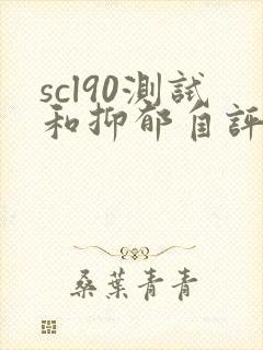 scl90测试和抑郁自评量表主要看哪个