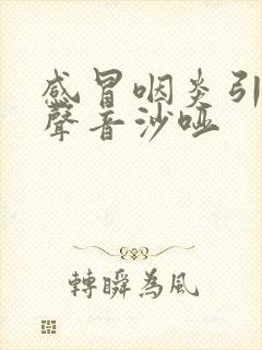 感冒咽炎引起的声音沙哑