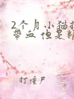 2个月小猫拉稀带血 但是精神很好