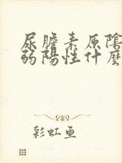 尿胆素原阴性或弱阳性什么意思