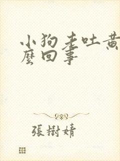 小狗老吐黄水怎么回事