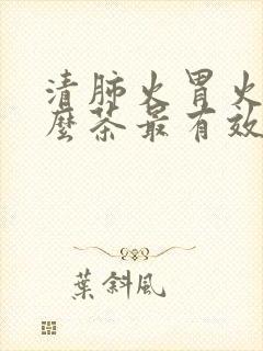 清肺火胃火喝什么茶最有效