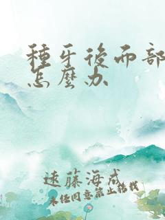 种牙后面部肿该怎么办