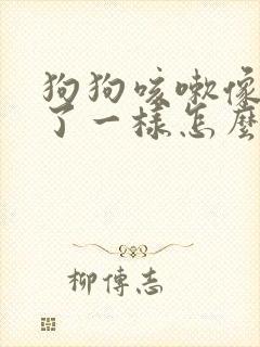 狗狗咳嗽像卡住了一样怎么回事