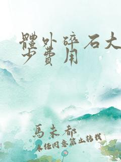 体外碎石大概多少费用