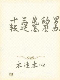 十三岁的男孩子叛逆怎么办