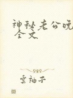神秘老公晚上见 全文