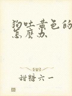 狗吐黄色的液体怎么办