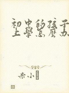 初中的孩子不愿上学怎么办