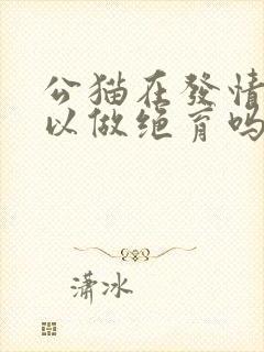 公猫在发情期可以做绝育吗