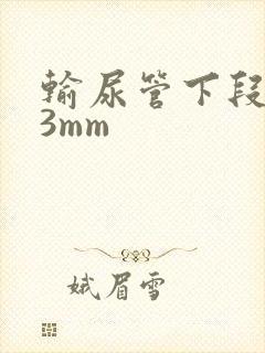 输尿管下段结石3mm