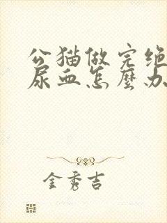 公猫做完绝育后尿血怎么办