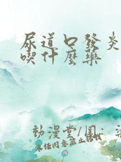 尿道口发炎流脓吃什么药