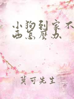 小狗到家不吃东西怎么办