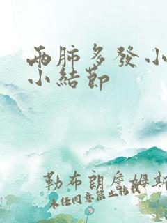 两肺多发小及微小结节