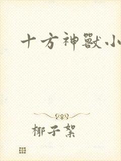 十方神兽小说
