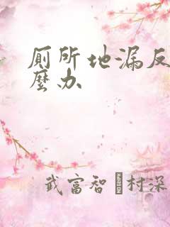 厕所地漏反臭怎么办