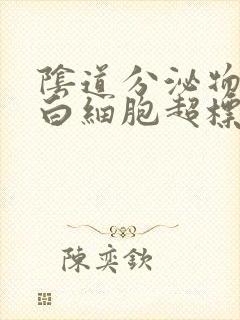 阴道分泌物检查白细胞超标