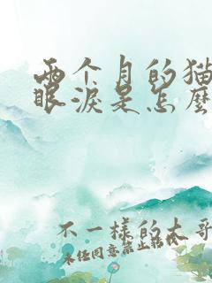 两个月的猫咪流眼泪是怎么回事