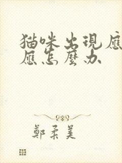 猫咪出现应激反应怎么办