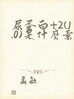 尿蛋白+2(1.0)是什么意思